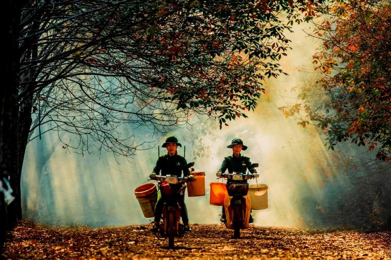 Những công nhân Tổng công ty Cao-su Đồng Nai làm việc giữa mùa cây thay lá. Trải nghiệm vẻ đẹp cao-su mùa thay lá ở Đồng Nai -0