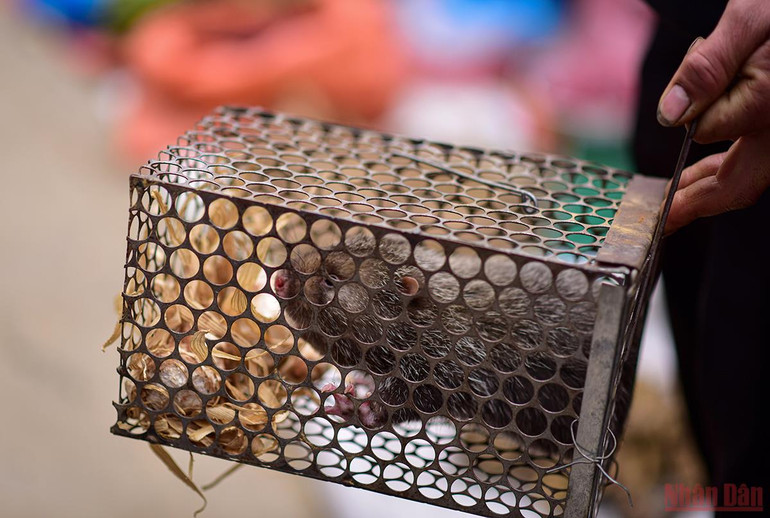 Độc đáo cảnh mẹ địu con đi chợ phiên Bắc Hà ngày giáp Tết -0