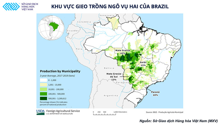 Vụ ngô thứ 2 của Brazil liệu có hạn chế được đà tăng của giá thức ăn chăn nuôi trong thời gian tới ? -0