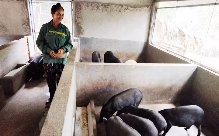 Xây dựng nông thôn mới ở khu vực miền núi -0