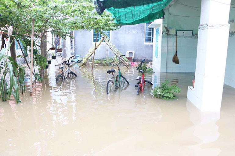 Ninh Thuận: Hàng trăm nhà dân bị ngập nước -0