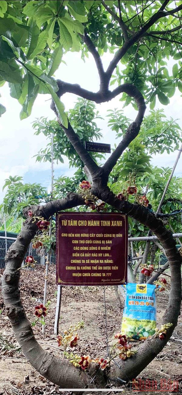 Vườn cây Sala tạo dáng thế theo triết lý nhà Phật ở Ninh Thuận -0