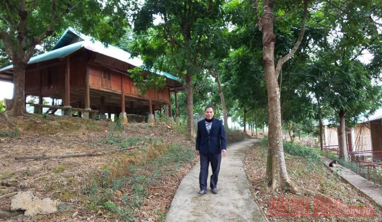 “Lâm tặc” được Chủ tịch nước về thăm nhờ kỳ tích trồng rừng -0