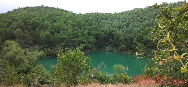 “Lâm tặc” được Chủ tịch nước về thăm nhờ kỳ tích trồng rừng -0