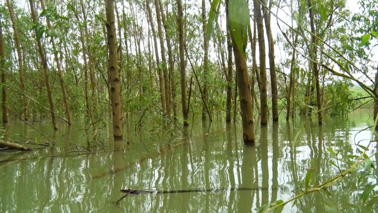 Mức nước hồ Tả Trạch dâng cao, hàng trăm hộ dân bị ảnh hưởng -0