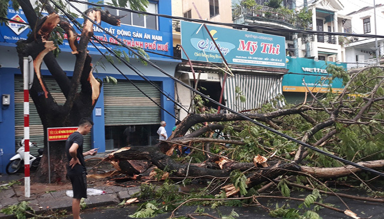 Thừa Thiên Huế: 96 người thương vong, hàng nghìn ngôi nhà sập và tốc mái -0