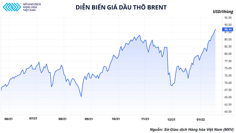 Liệu thị trường dầu thô có đi đúng hướng với dự báo của các tổ chức năng lượng? -0