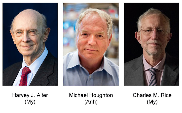 Nobel Y sinh 2021 vinh danh những phát hiện về các thụ thể nhiệt và xúc giác -0