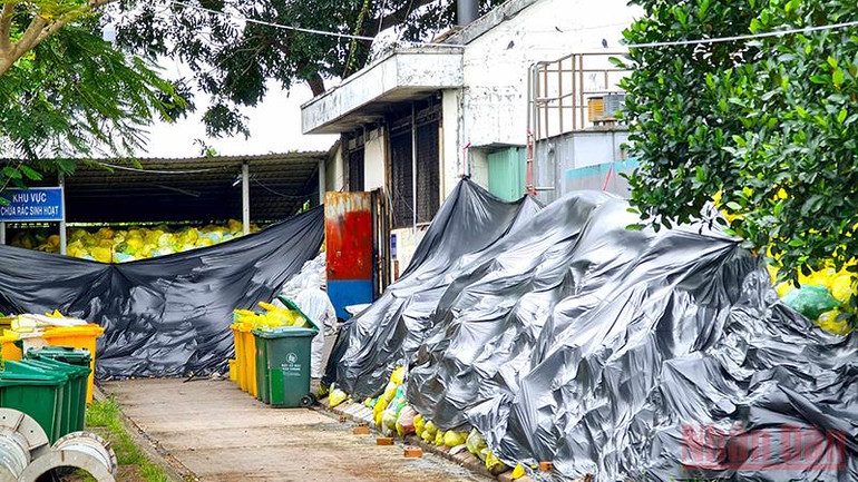 Khẩn trương thu gom, xử lý rác y tế tồn đọng ở Cà Mau -0