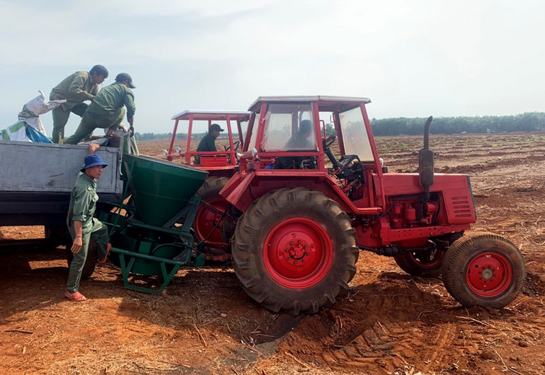 Cao-su Đồng Nai cải tiến kỹ thuật tăng năng suất -0