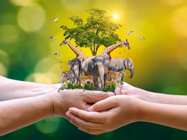 Ngày Động, thực vật hoang dã thế giới năm 2021: Bảo vệ rừng và sinh kế -0