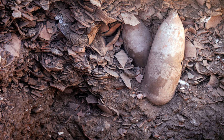 Phát hiện nhà máy nấu rượu vang cổ đại ở Israel -0