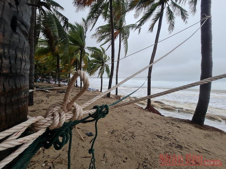 Dồn sức giữ bờ biển Cửa Đại -0