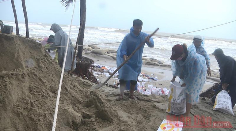 Dồn sức giữ bờ biển Cửa Đại -0