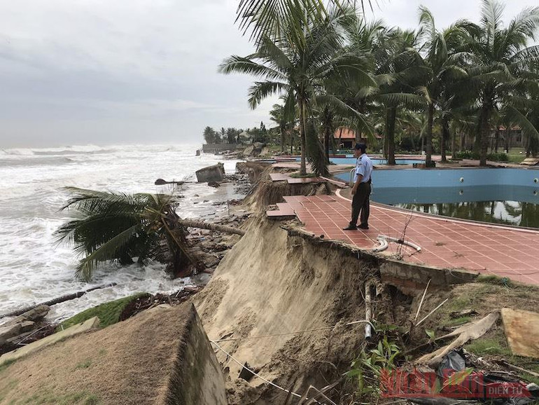 Bờ biển Cửa Đại bị sạt lở. Dồn sức giữ bờ biển Cửa Đại -0