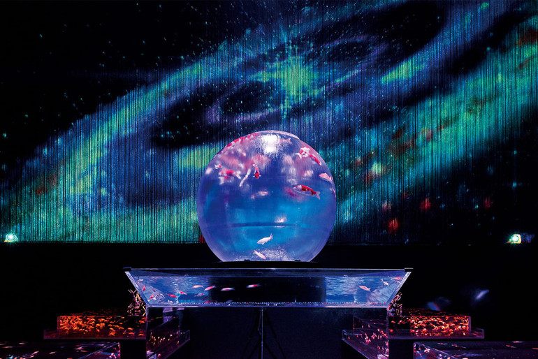 Huyền bí sắc màu Art Aquarium ở thủ đô Tokyo -0