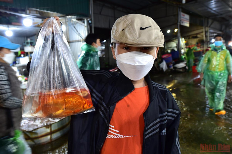 Chợ cá Yên Sở tấp nập, ngập sắc đỏ vàng Tết ông Công ông Táo -0