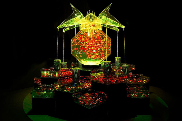 Huyền bí sắc màu Art Aquarium ở thủ đô Tokyo -7