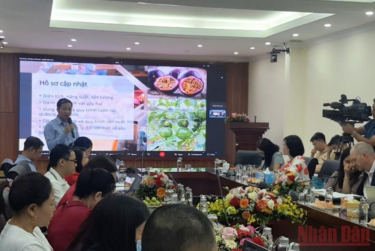 Ông Nguyễn Quang Hiếu, Trưởng phòng Hợp tác quốc tế và truyền thông, Cục Bảo vệ thực vật chia sẻ về quá trình đưa chanh leo xuất khẩu thí điểm chính ngạch sang thị trường Trung Quốc. Công bố xuất khẩu thí điểm chanh leo chính ngạch sang thị trường Trung Quốc -0