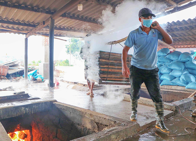 Nhộn nhịp nghề hấp cá ở Ninh Thuận -0