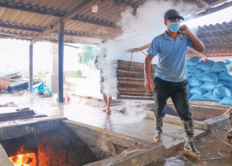 Nhộn nhịp nghề hấp cá ở Ninh Thuận -0