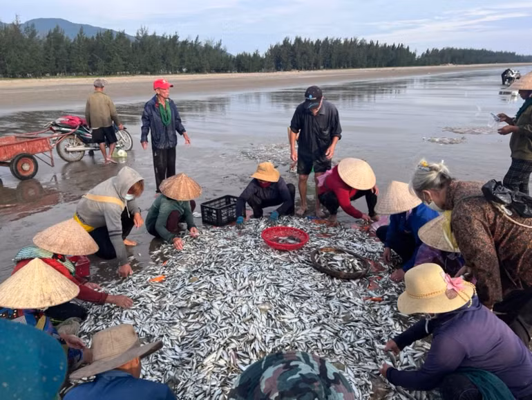 Ngư dân đi lùi “kéo” mặt trời lên -0