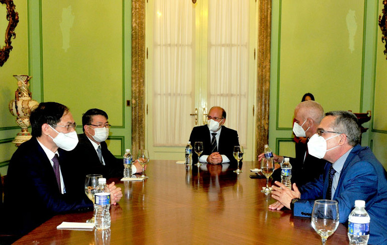 Bộ trưởng Bùi Thanh Sơn gặp gỡ lãnh đạo Bộ Ngoại giao các nước -0