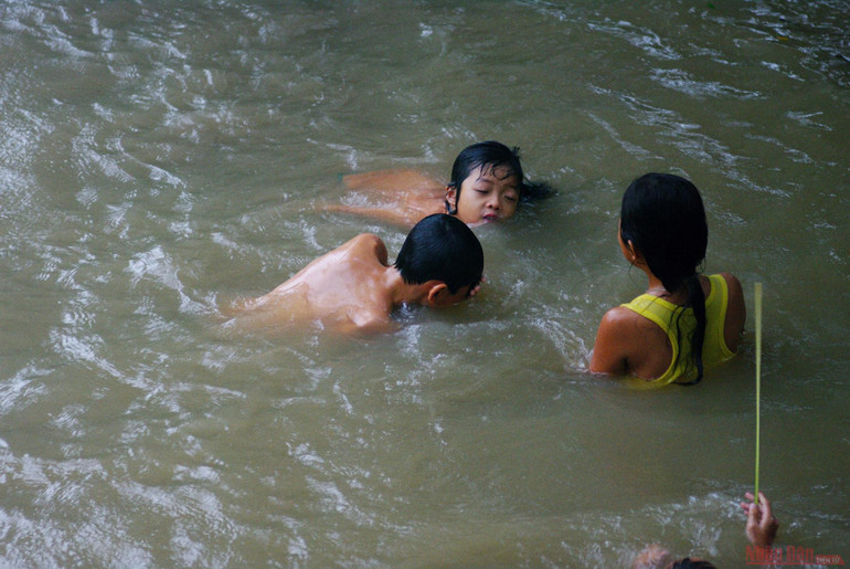 Vườn cò Bằng Lăng - sân chim lớn nhất đồng bằng sông Cửu Long -0