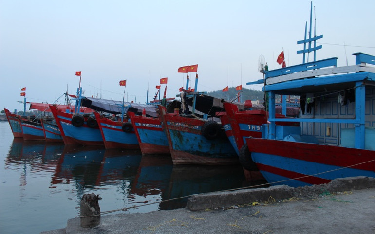 Khó khăn nghề cá ở Thanh Hóa -0