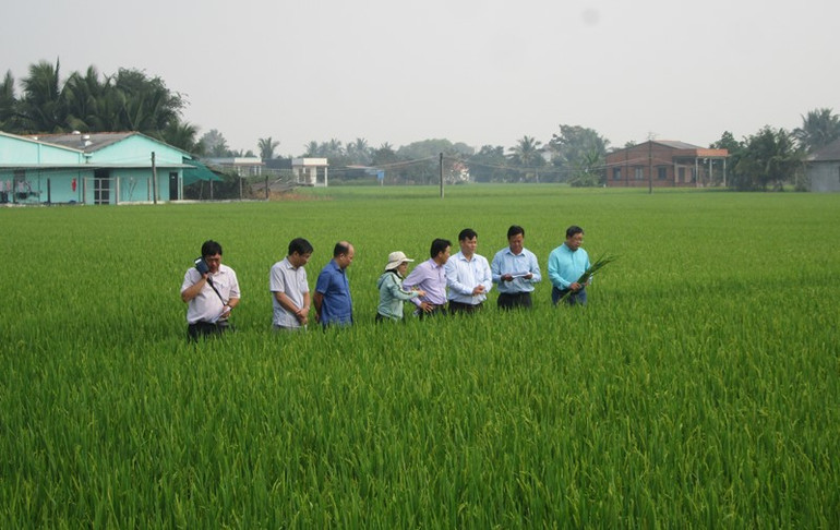 Tăng cường ứng phó xâm nhập mặn ngay Tết Nguyên đán Tân Sửu -0