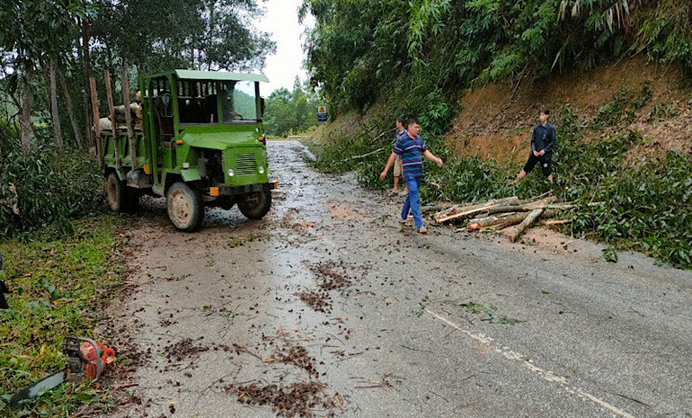 Dông lốc làm thiệt hại nhiều tài sản, hoa màu ở Tuyên Quang -0