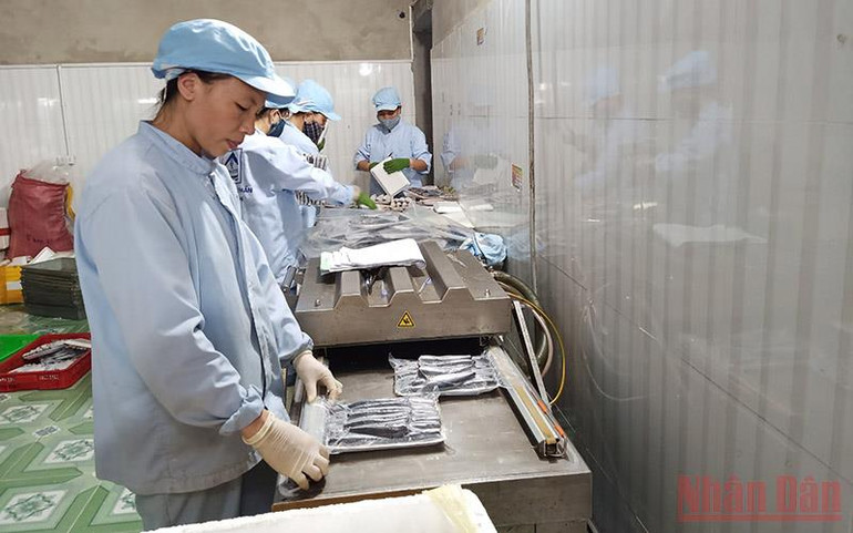 Bước chuyển mình của các doanh nhân nữ trong đại dịch -0