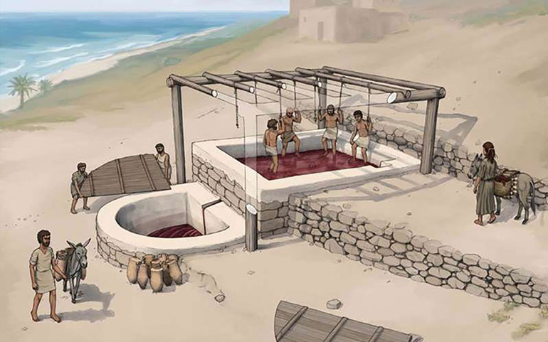 Phát hiện xưởng rượu nho cổ nhất thế giới -0