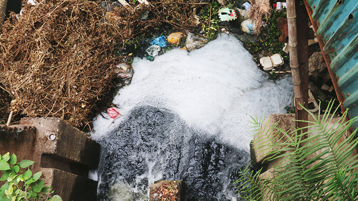 Theo dấu rác độc -0