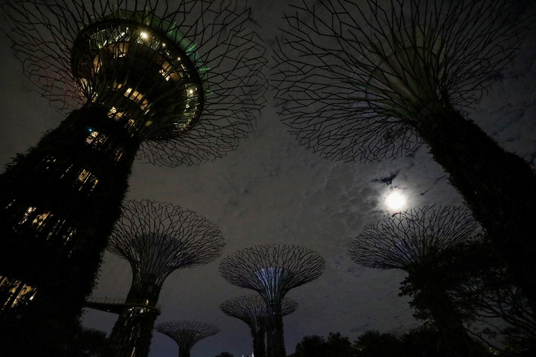 Đèn được tắt để kỷ niệm Giờ Trái đất tại Supertree Grove, Gardens By the Bay, ở Singapore, vào tối 27-3. Ảnh: Reuters. Các địa danh trên thế giới tắt đèn trong Giờ Trái đất -0