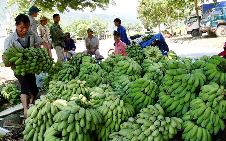 “Thông đường” cho nông sản miền bắc -0