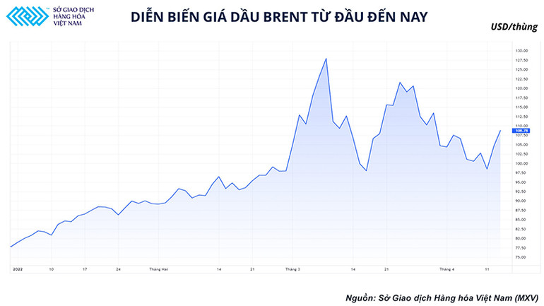 Hướng đi nào cho thị trường dầu khi các tổ chức lớn cũng “loay hoay” tìm lối đi? -0