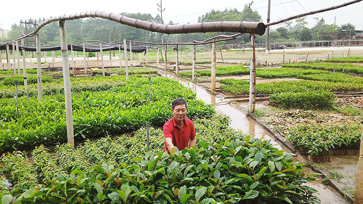 Những cựu chiến binh có tấm lòng vàng -0