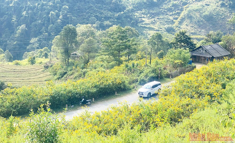 Sin Suối Hồ - Ngàn mặt trời rực rỡ -1