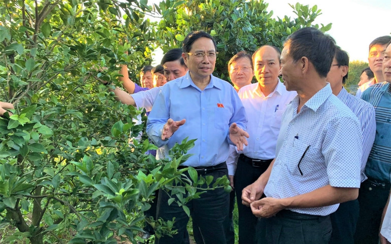 Đồng chí Phạm Minh Chính thăm Hợp tác xã nông nghiệp và du lịch Sê-rê-pốk, xã Tân Hòa, huyện Buôn Đôn. IMG_0011-1606114346663.jpg