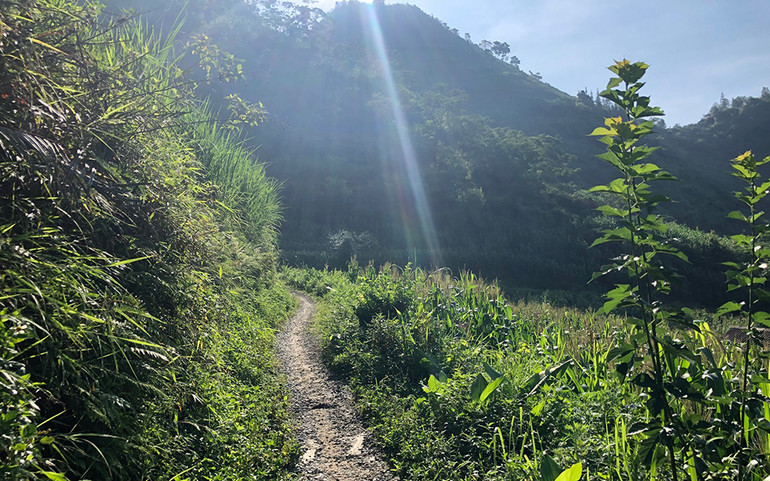 Những thung lũng ngập nắng ở Bắc Hà ảnh 3