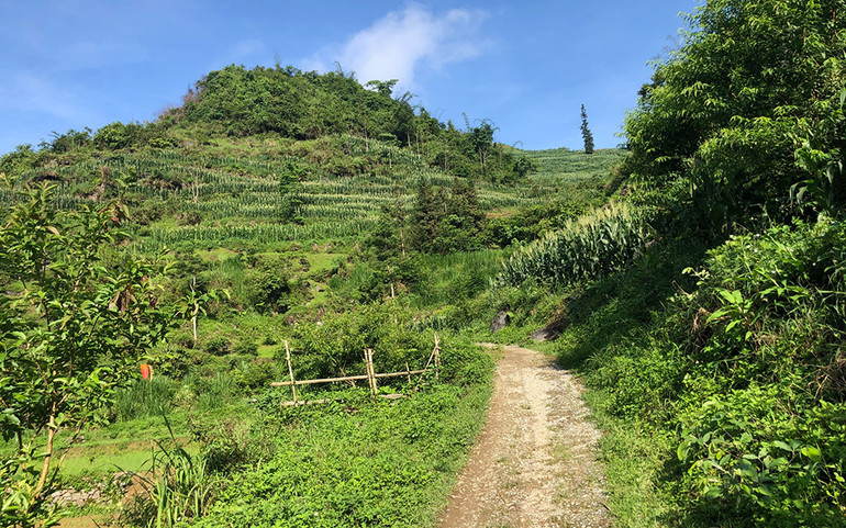 Những thung lũng ngập nắng ở Bắc Hà ảnh 8