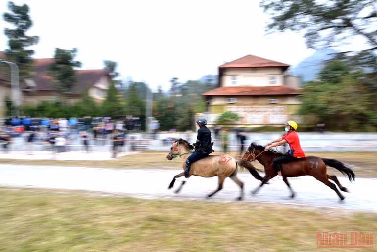 Khai hội “Vũ điệu cao nguyên trắng Bắc Hà” -0