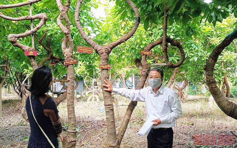 Vườn cây Sala tạo dáng thế theo triết lý nhà Phật ở Ninh Thuận -0