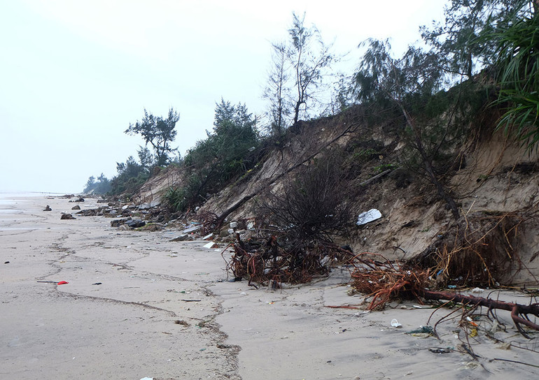 Bão lớn, nhưng không gây thiệt hại nặng -0