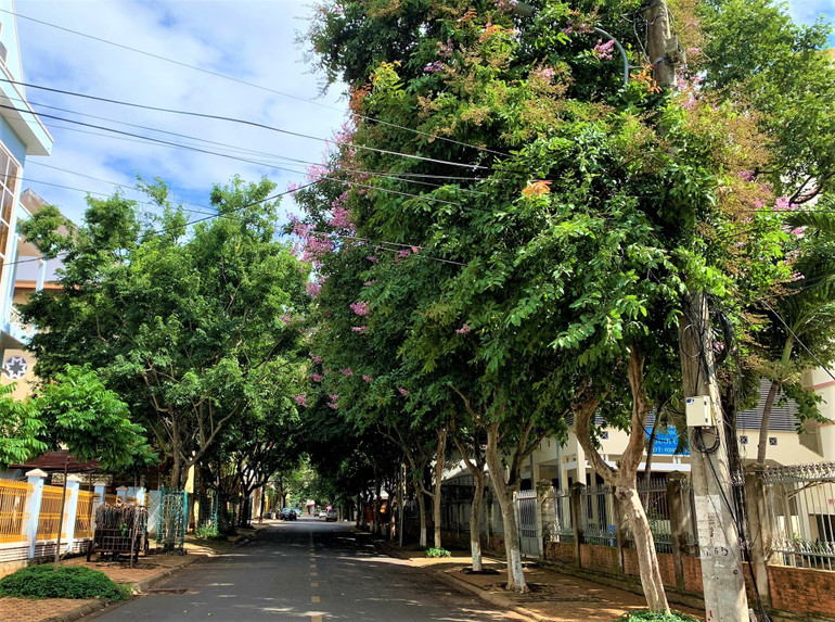 Thành phố Buôn Ma Thuột thực hiện nghiêm giãn cách xã hội -8