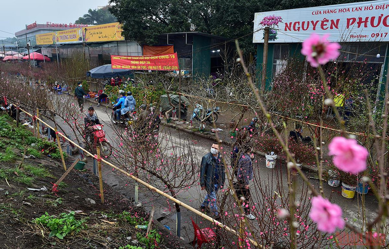 Hà Nội “thay áo mới” rực rỡ đón Xuân Nhâm Dần 2022 -0