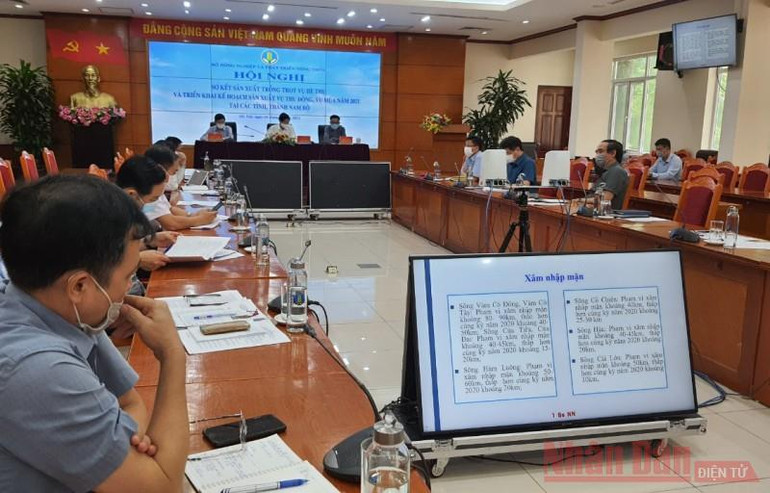 Toàn cảnh Hội nghị Sơ kết sản xuất trồng trọt vụ Hè thu, triển khai sản xuất vụ thu đông, vụ mùa 2021 tại điểm cầu Hà Nội. Tập trung bám sát đồng ruộng và thu hoạch dứt điểm vụ Hè thu -0