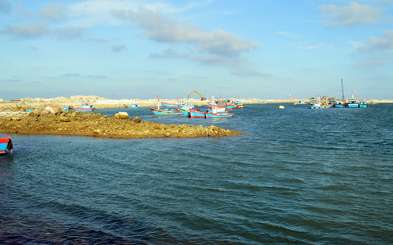 Gỡ khó để dự án neo đậu tàu thuyền Lý Sơn “về đích” -0