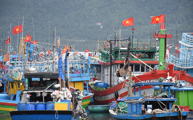 Những hải trình mang vị đời thấm ngọt -0